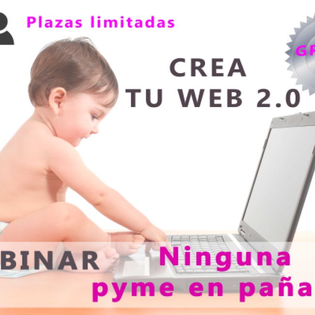 Webinar Ninguna Pyme en pañales